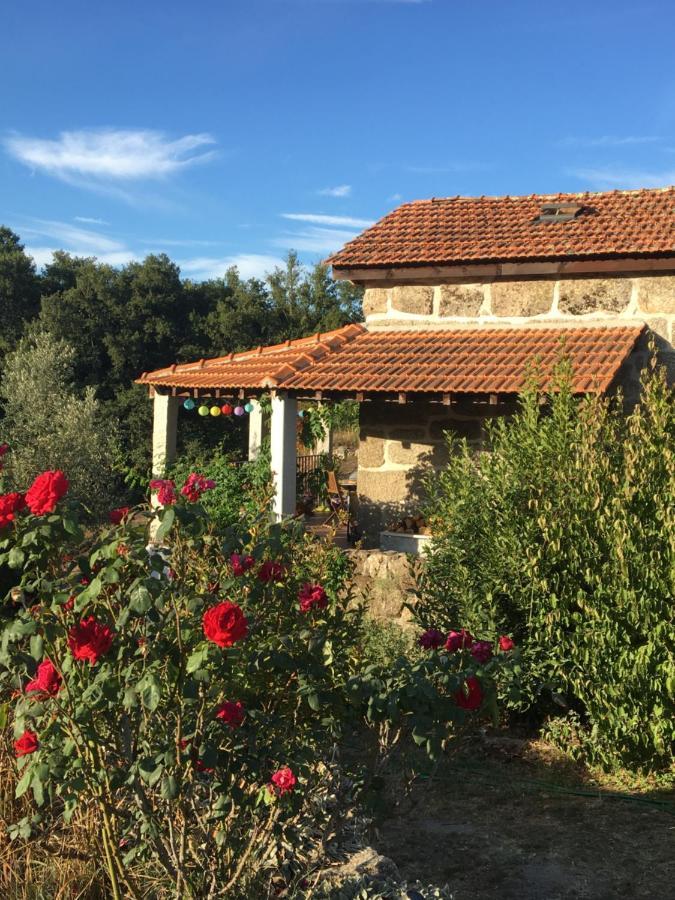 Quinta Do Cobral Villa Оливейра ду Оспитал Екстериор снимка