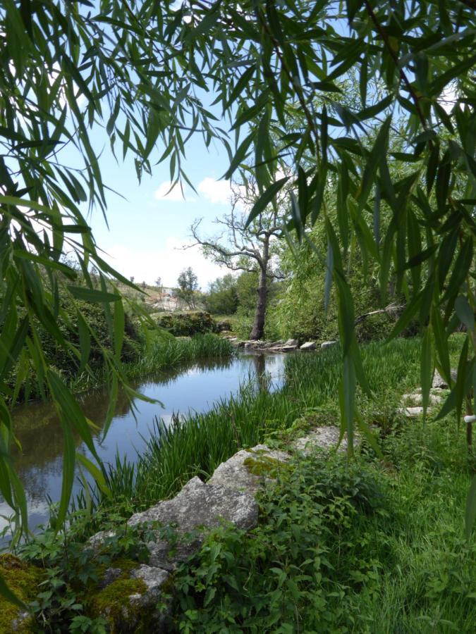 Quinta Do Cobral Villa Оливейра ду Оспитал Екстериор снимка