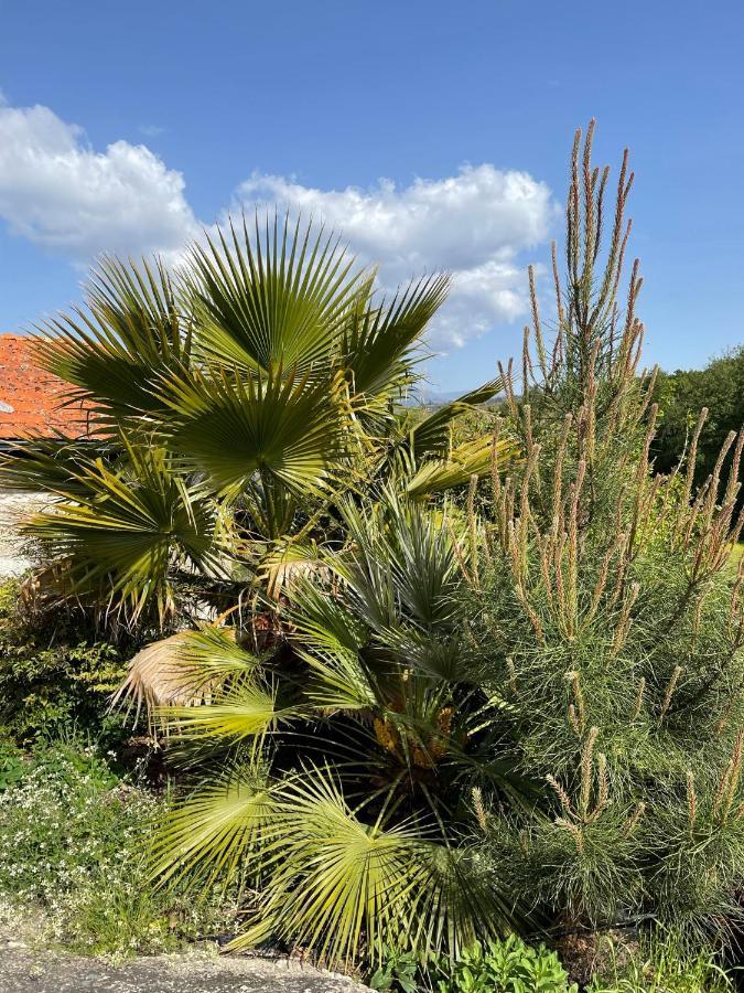Quinta Do Cobral Villa Оливейра ду Оспитал Екстериор снимка
