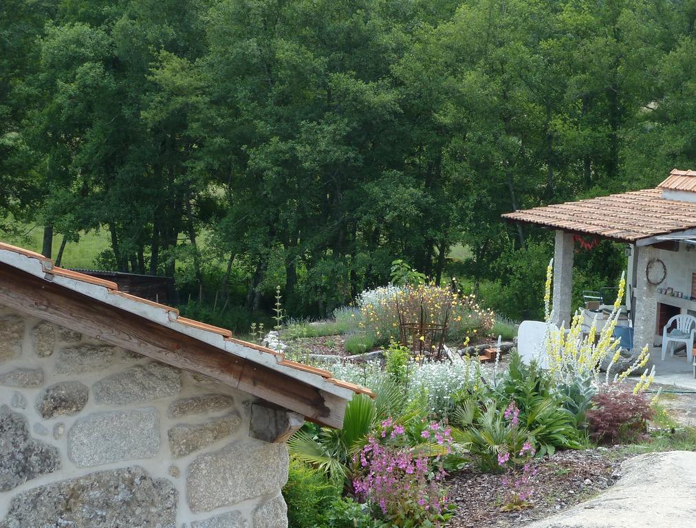 Quinta Do Cobral Villa Оливейра ду Оспитал Екстериор снимка